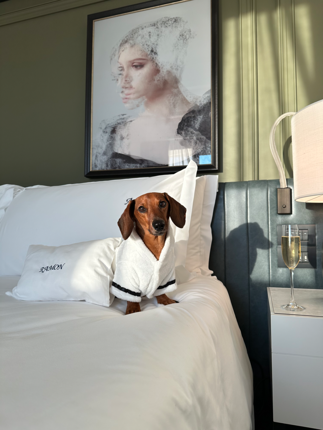 Luxury Pet Friendly Travel Blogging
